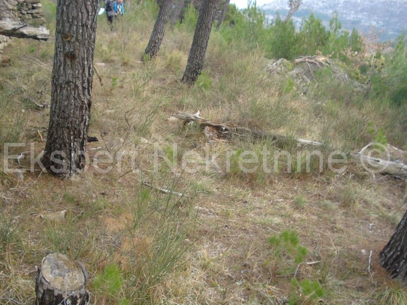 Tugare, terreno di circa 7300 mq, prezzo conveniente