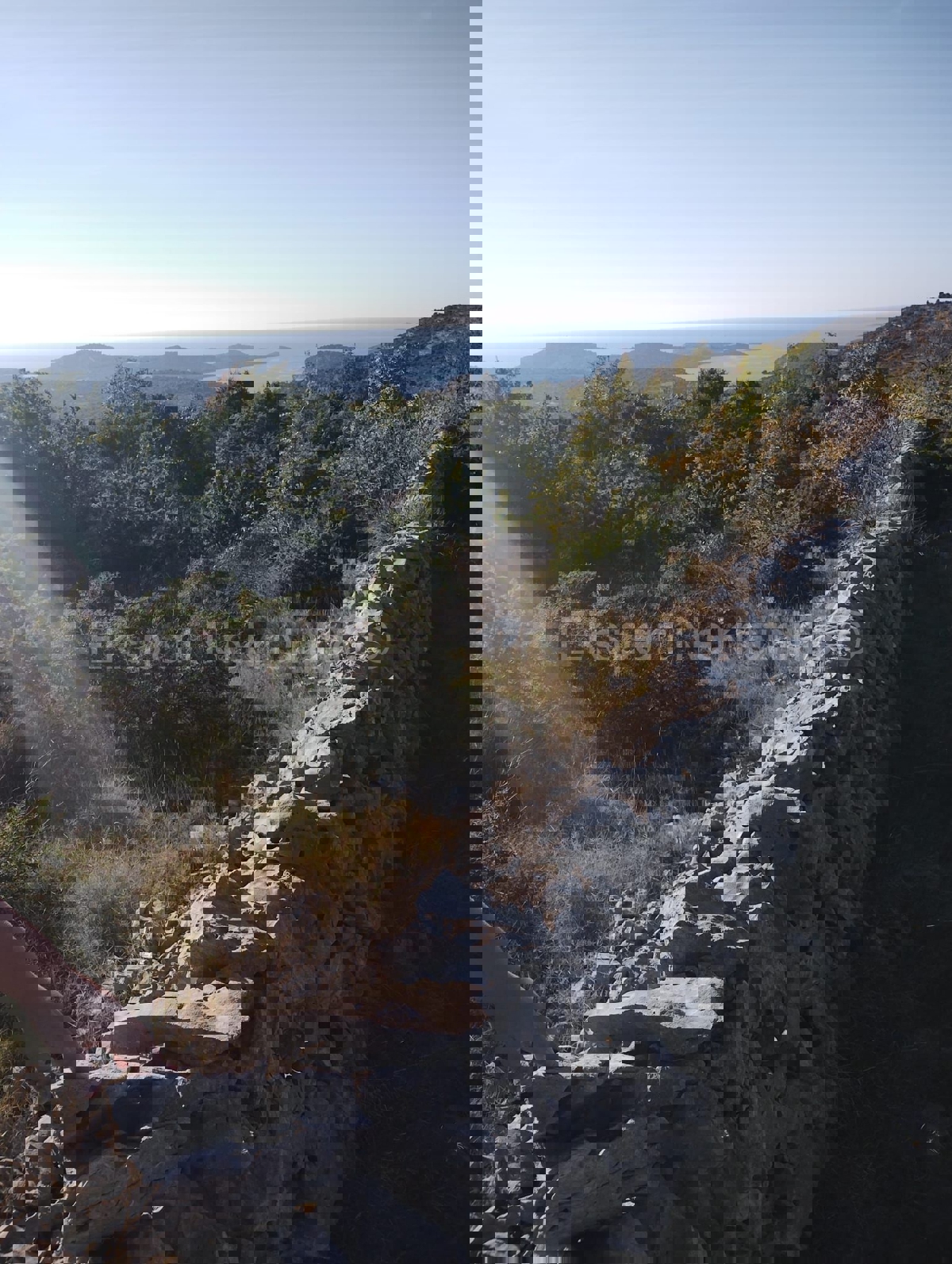 Ražanj, terreno agricolo 7084 m2, 1a fila al mare