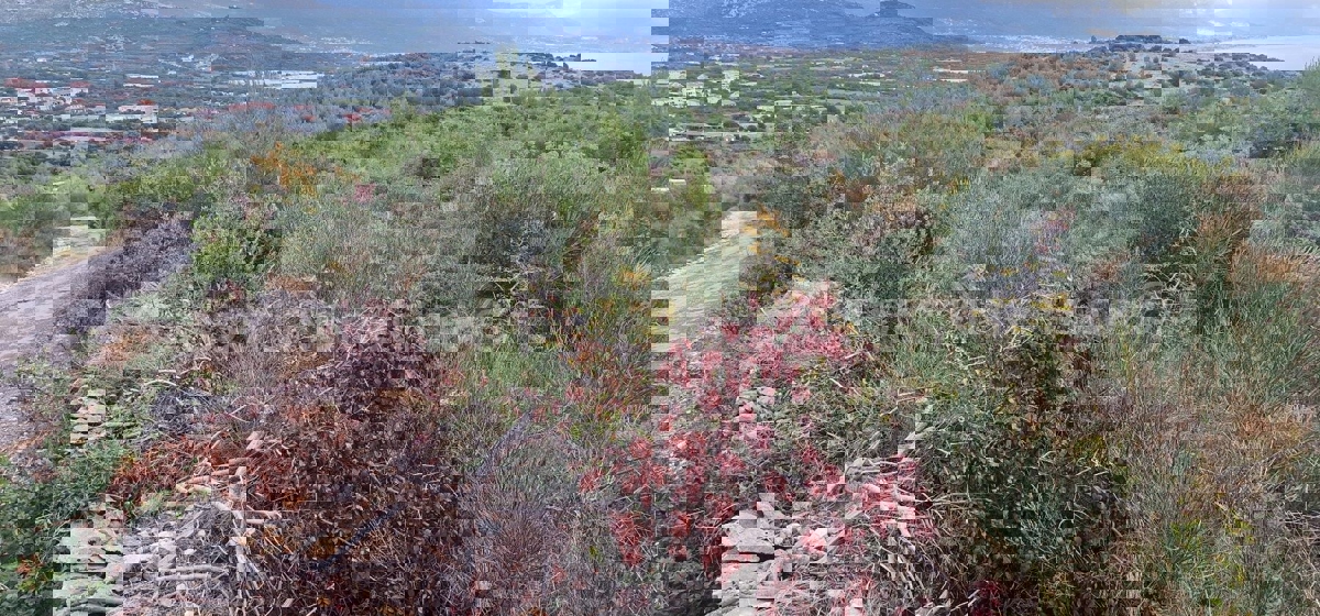 Trogir, Plano, agricultural land 6353 m2, sea view, road