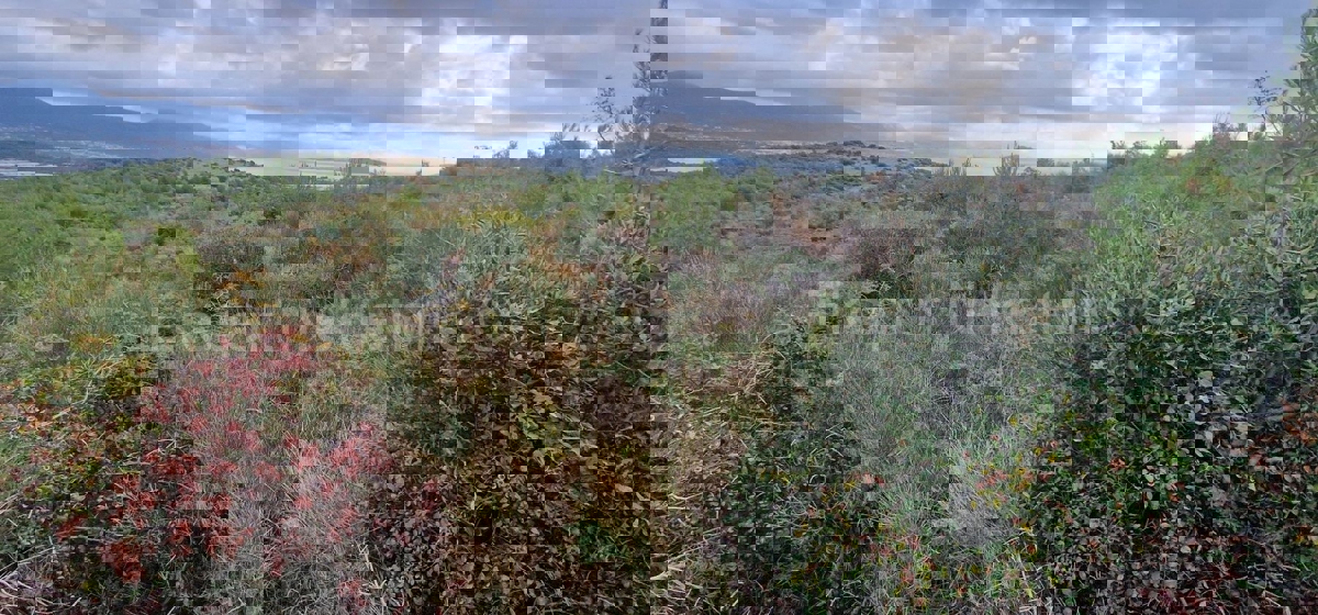 Trogir, Plano, agricultural land 6353 m2, sea view, road