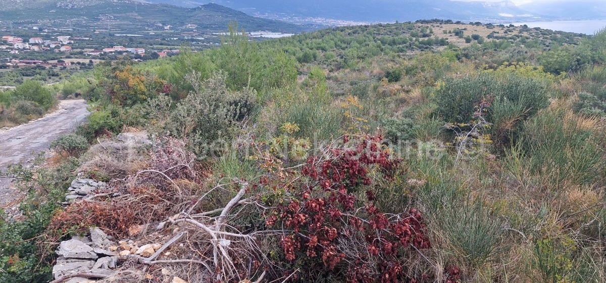 Trogir, Plano, agricultural land 6353 m2, sea view, road