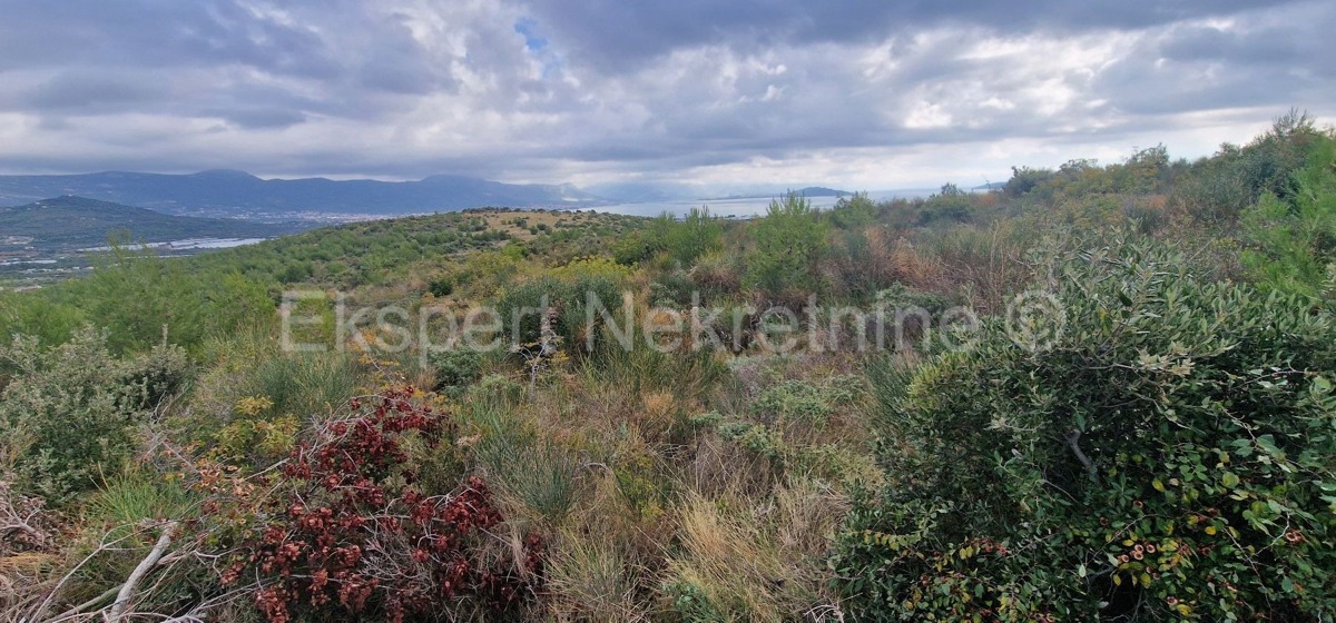 Trogir, Plano, agricultural land 6353 m2, sea view, road