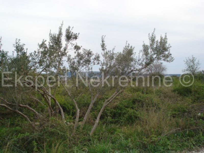 Kaštela, Nuovo terreno agricolo 2700 m2, attraente