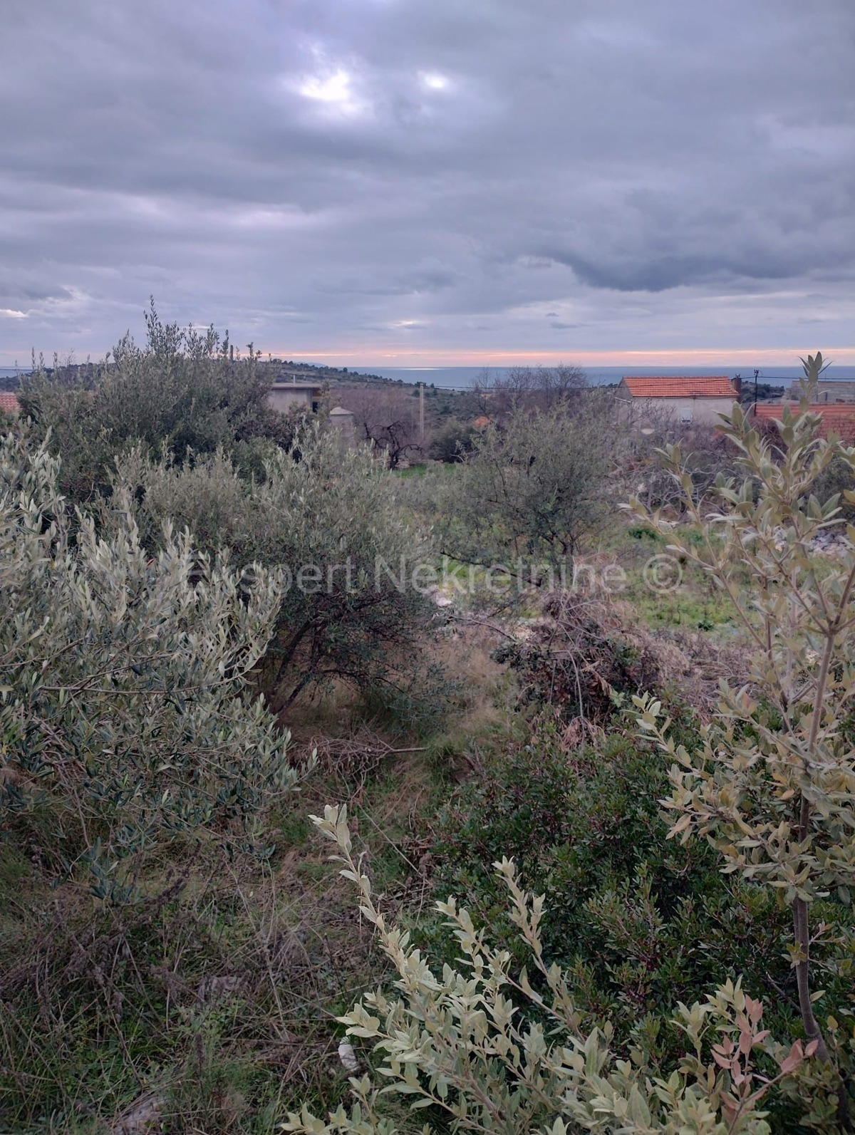 Sevid, Zaselo, terreno edificabile 1200m2, 700 m dal mare e dalla spiaggia