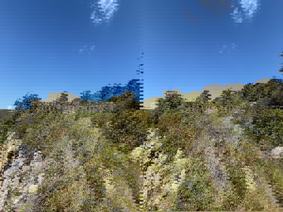Rogoznica, Ražanj, terreno 3780 m2, a 150 m dal mare e dalla spiaggia