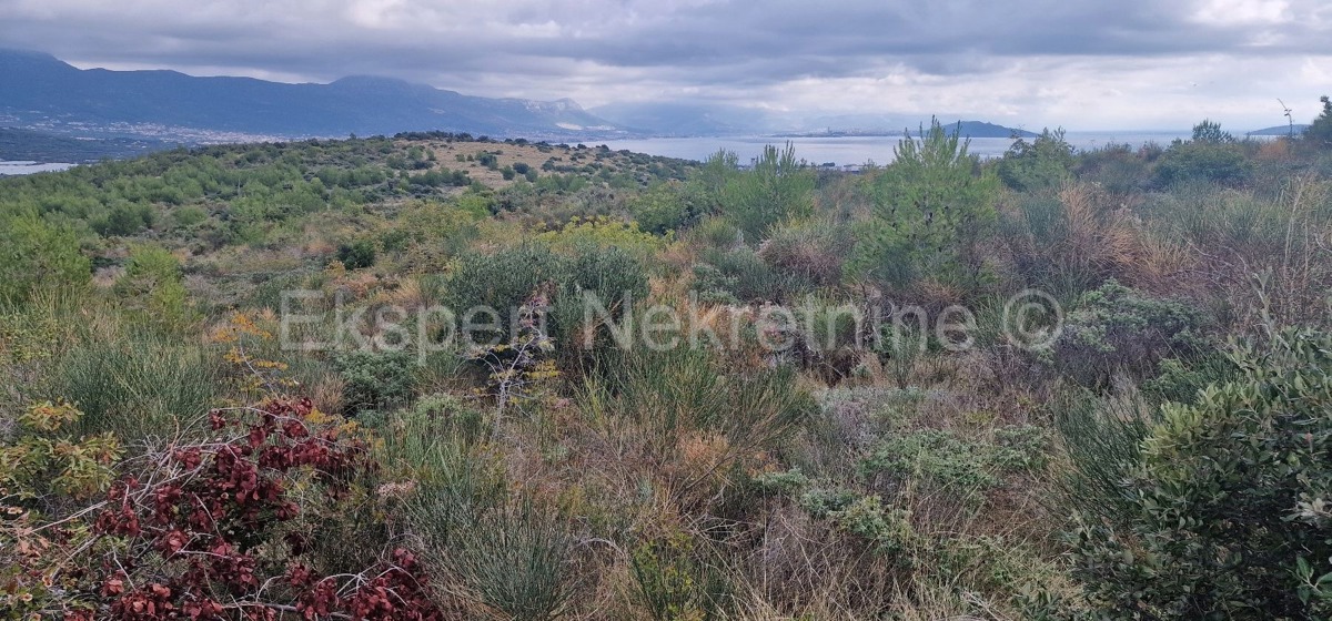 Trogir, Plano, agricultural land 3296 m2, sea view, road