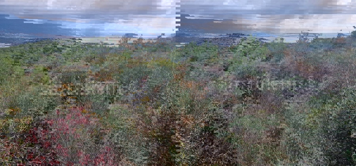 Trogir, Plano, agricultural land 3296 m2, sea view, road