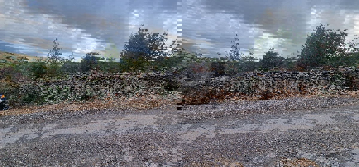 Trogir, Plano, agricultural land 3296 m2, sea view, road