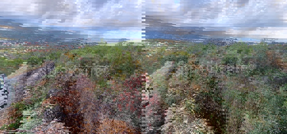 Trogir, Plano, agricultural land 3296 m2, sea view, road