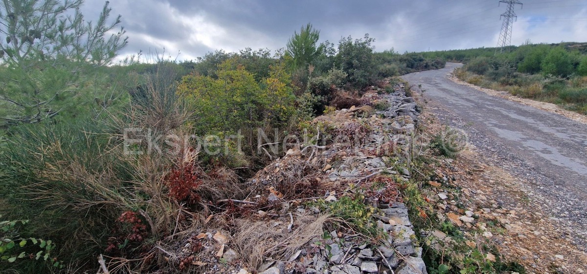 Trogir, Plano, agricultural land 3296 m2, sea view, road