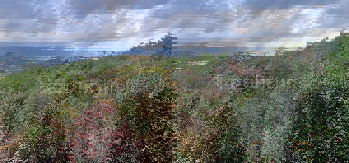 Trogir, Plano, agricultural land 3296 m2, sea view, road