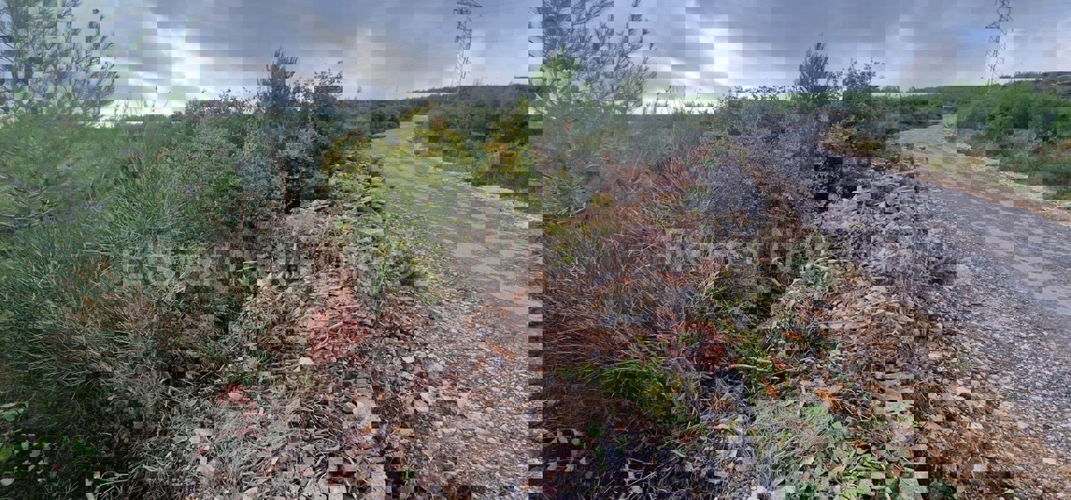 Trogir, Plano, agricultural land 3296 m2, sea view, road