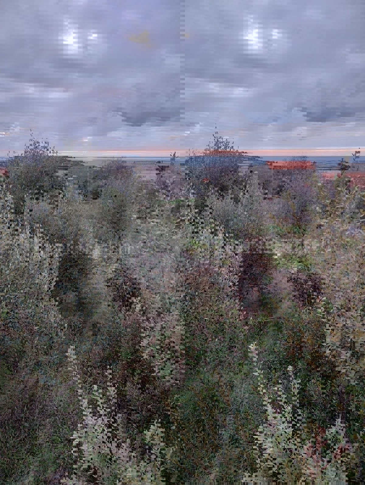 Sevid, Zaselo, terreno edificabile 2375 m2, 700 m dal mare e dalla spiaggia