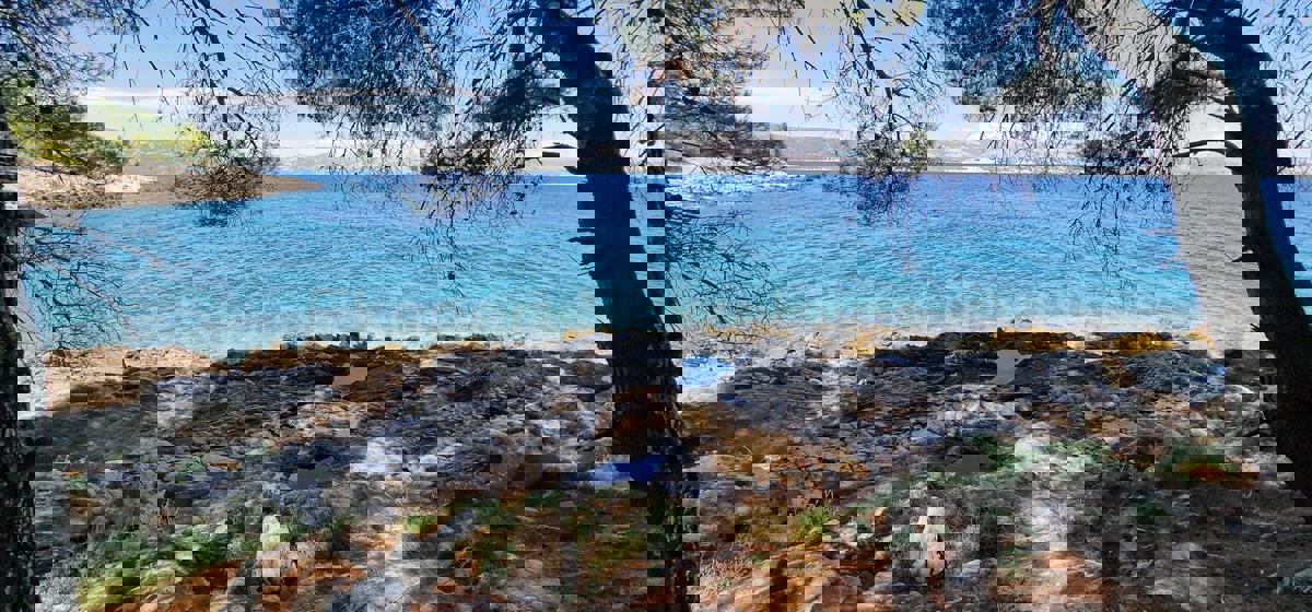 Drvenik Veli, agricultural land 1300 m2, FIRST ROW TO THE SEA!!