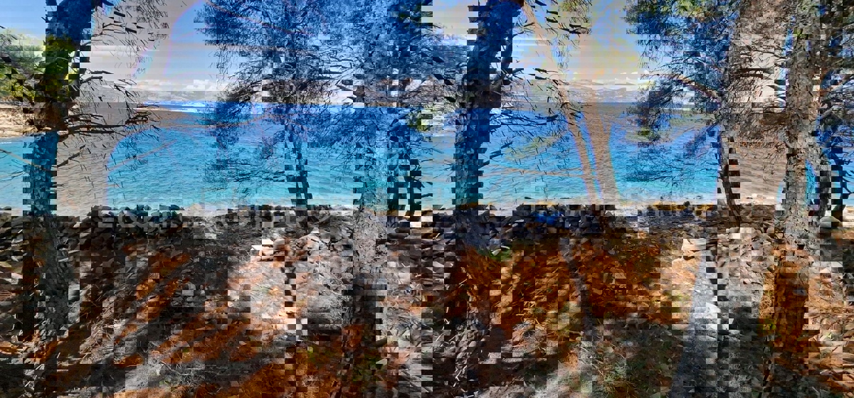 Drvenik Veli, agricultural land 1300 m2, FIRST ROW TO THE SEA!!