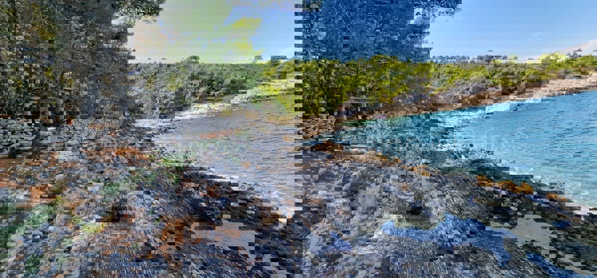 Drvenik Veli, agricultural land 1300 m2, FIRST ROW TO THE SEA!!