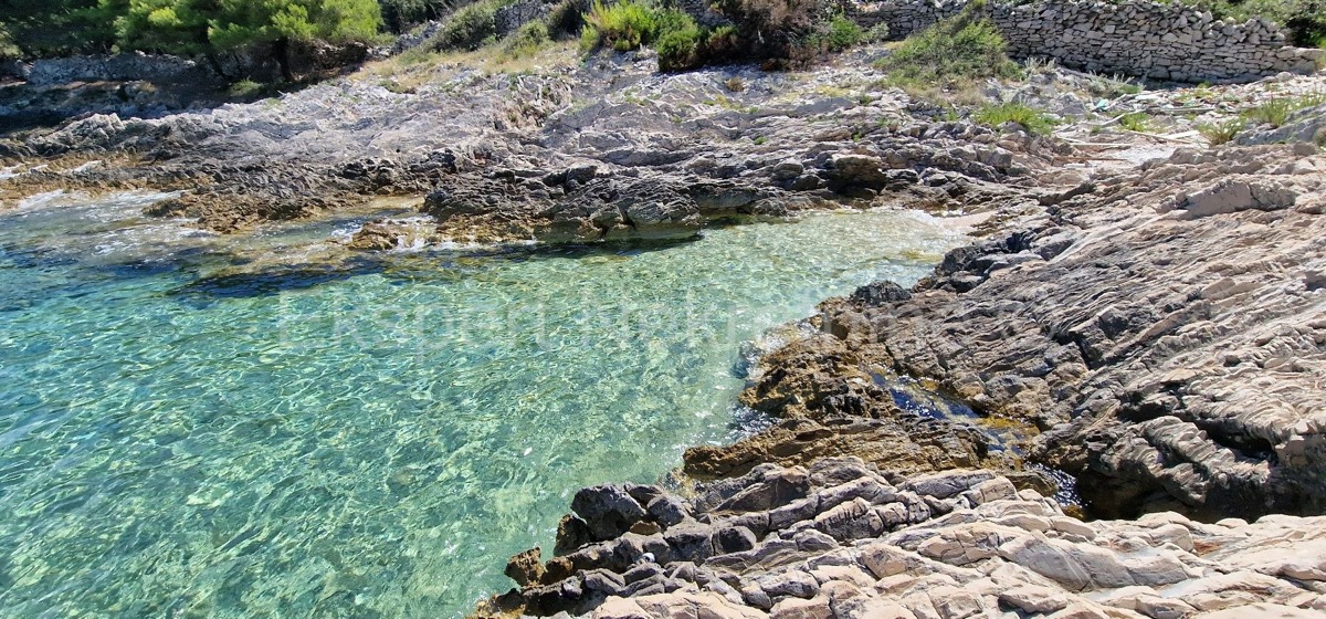 Drvenik Veli, agricultural land 1300 m2, FIRST ROW TO THE SEA!!