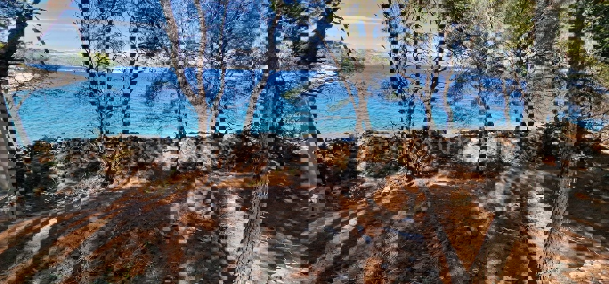 Drvenik Veli, agricultural land 1300 m2, FIRST ROW TO THE SEA!!