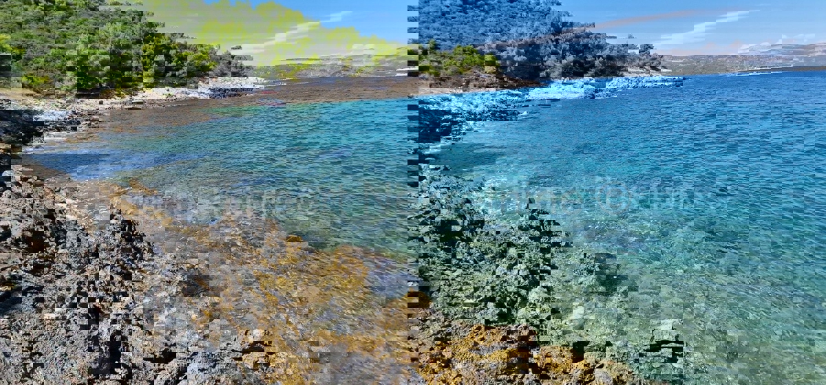 Drvenik Veli, agricultural land 1300 m2, FIRST ROW TO THE SEA!!