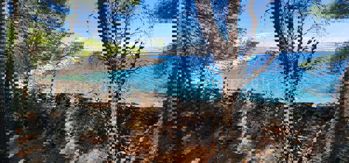 Drvenik Veli, agricultural land 1300 m2, FIRST ROW TO THE SEA!!