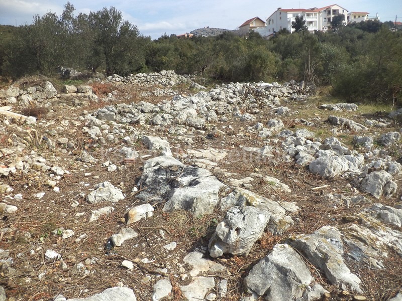 Marina, edificio. terreno 1429 m2, vicino al centro, elettricità, acqua