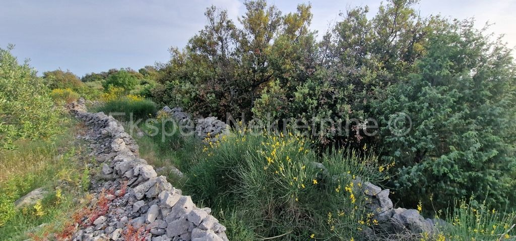 Marina, Vinišće, building plot 1006 m2, sea view, ideal for a villa