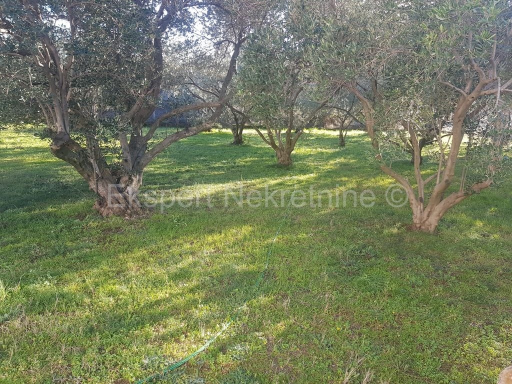 Trogir, Plano, due case con 3 garage, su 2100 m2 di terreno