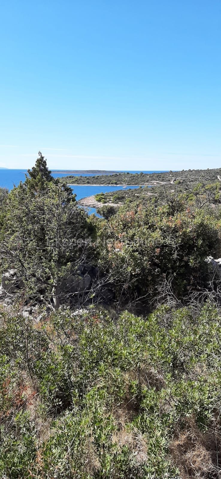 Drvenik Veli, vicino alla fattoria... terreno 3980 m2, a soli 80 m dal mare, vista