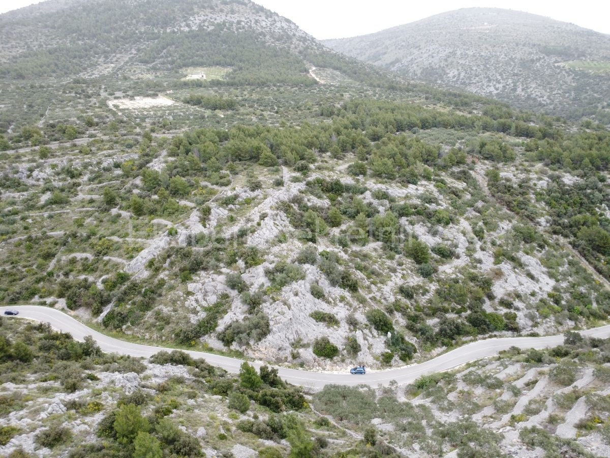 Marina, Vrsine, terreno agricolo 7679m2, 750m dal mare