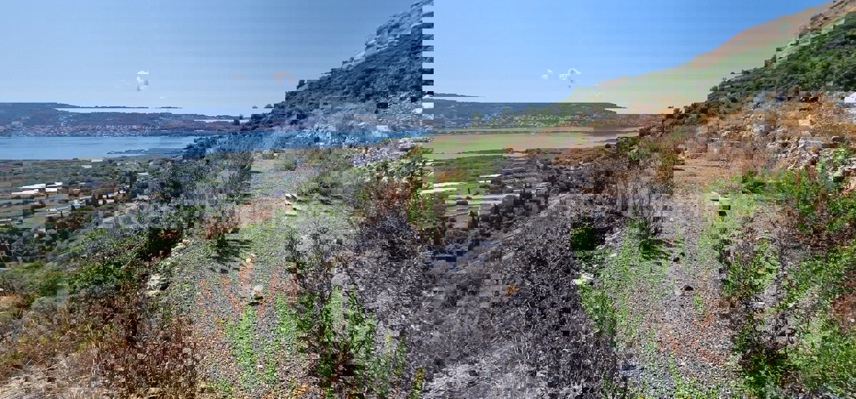 Trogir, Plano, agricultural land 3296 m2, sea view, road