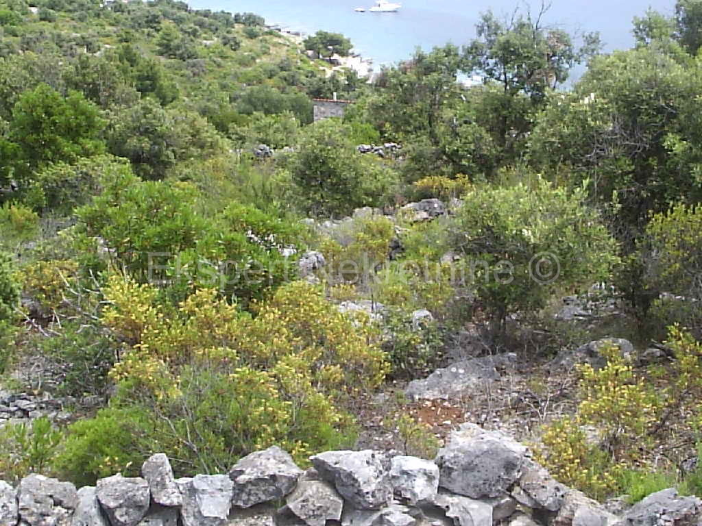 Drvenik Veli, terreno agricolo 4000m2, vicino al mare