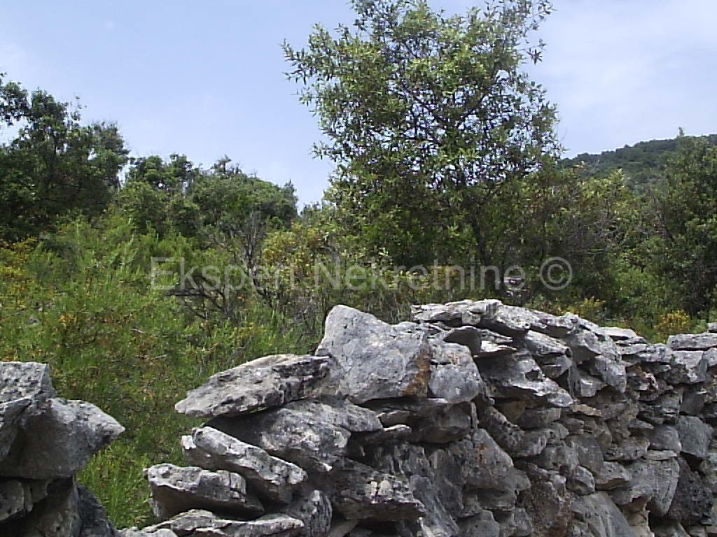 Drvenik Veli, terreno agricolo 4000m2, vicino al mare