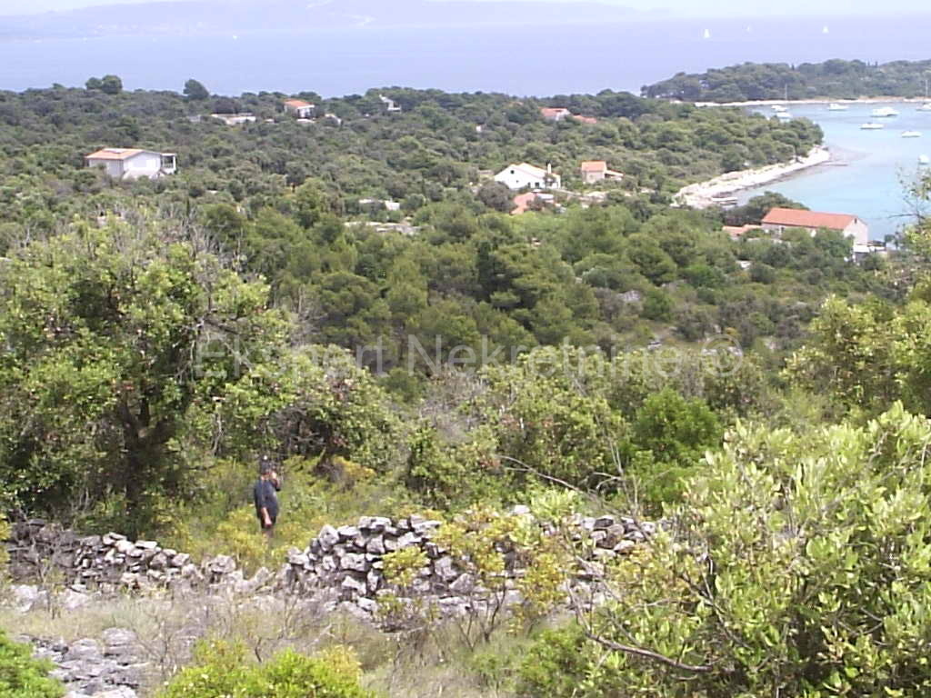 Drvenik Veli, terreno agricolo 4000m2, vicino al mare