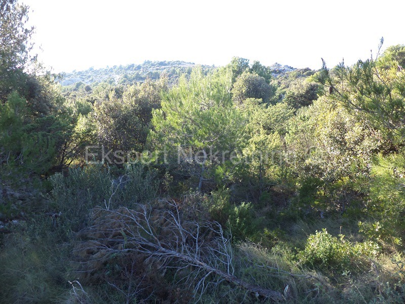 Rogoznica, Ražanj, terreno edificabile 1890 m2, 150 m dal mare