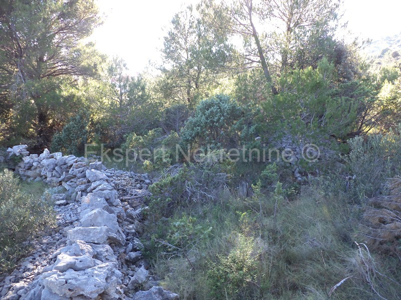 Rogoznica, Ražanj, terreno edificabile 1890 m2, 150 m dal mare