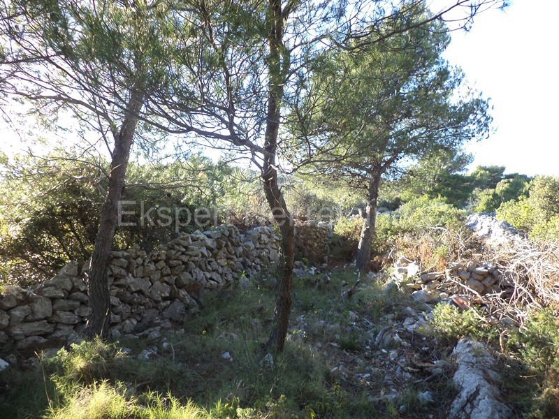 Rogoznica, Ražanj, terreno edificabile 1890 m2, 150 m dal mare