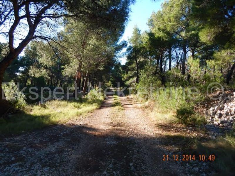Brač, Milna terreno agricolo 64000 m2 a 100 m dal mare