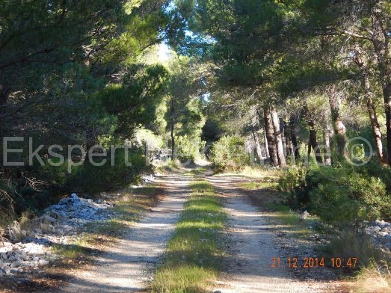 Brač, Milna terreno agricolo 64000 m2 a 100 m dal mare
