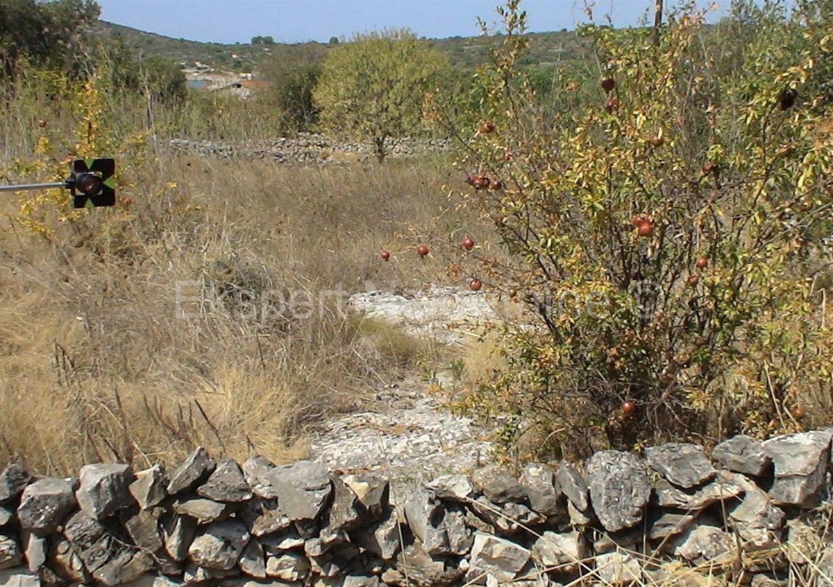 Drvenik Mali, terreno edificabile 650 m2, 200 m dal mare