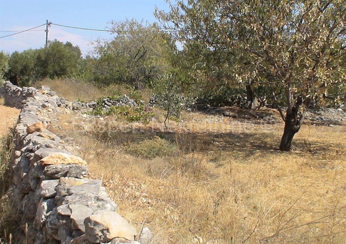 Drvenik Mali, terreno edificabile 650 m2, 200 m dal mare