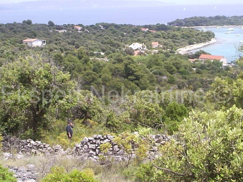 Drvenik Veli, terreno agricolo 4000m2, vicino al mare