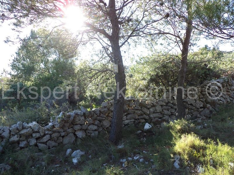 Rogoznica, Ražanj, terreno edificabile 1890 m2, 150 m dal mare