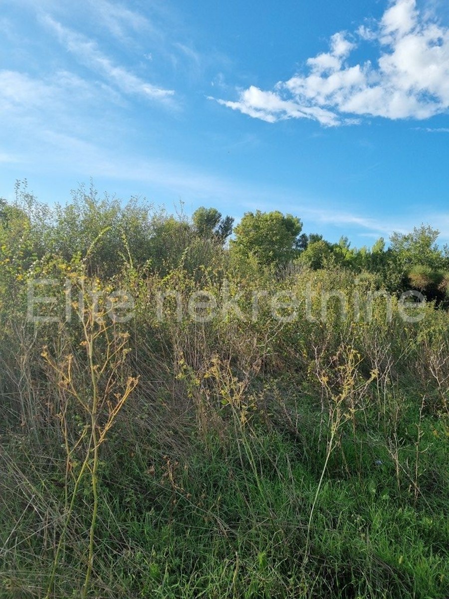 Lisignano - terreno edificabile misto, 3958m2