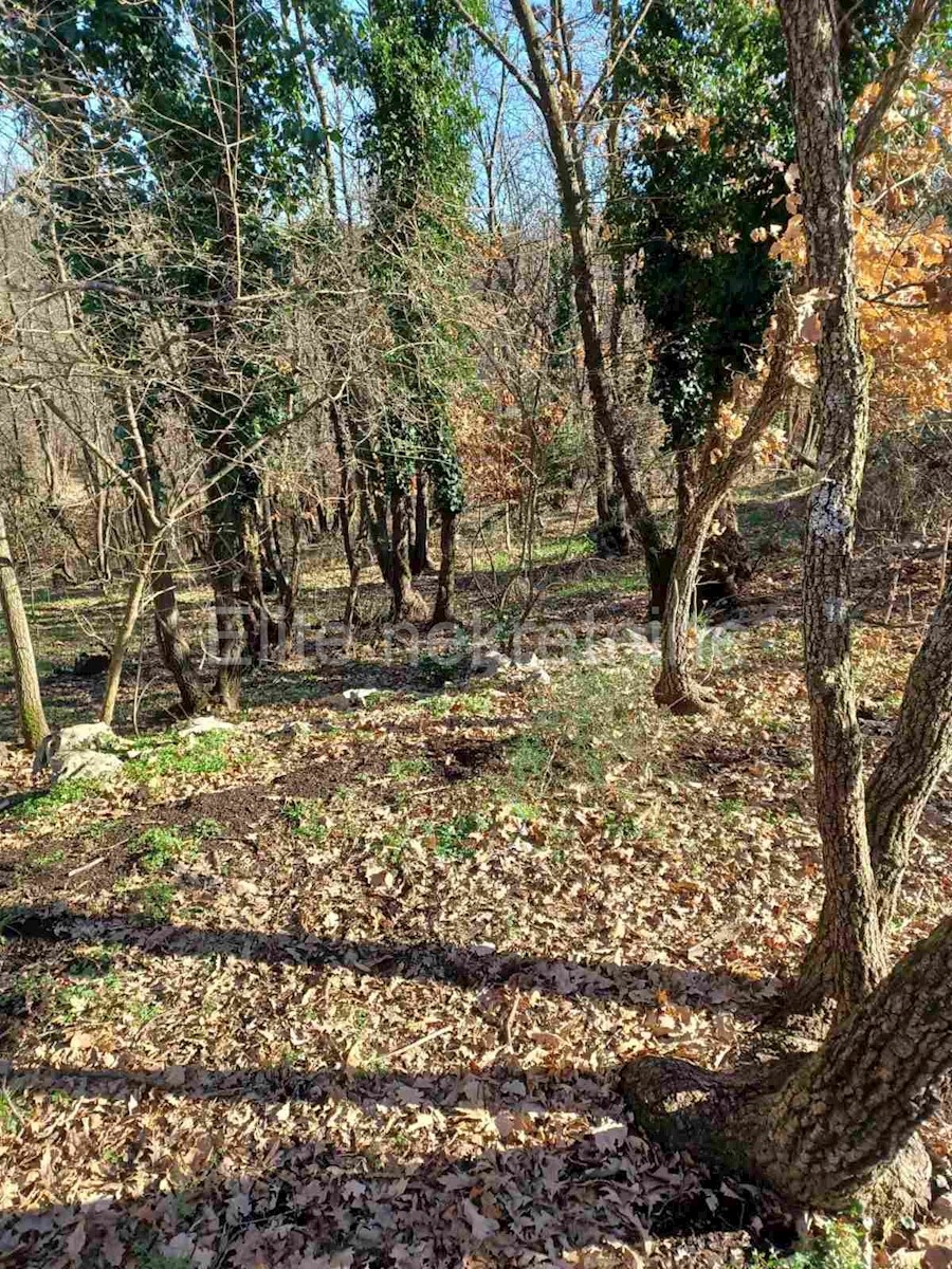 Šarići- terreno agricolo 17000m2!