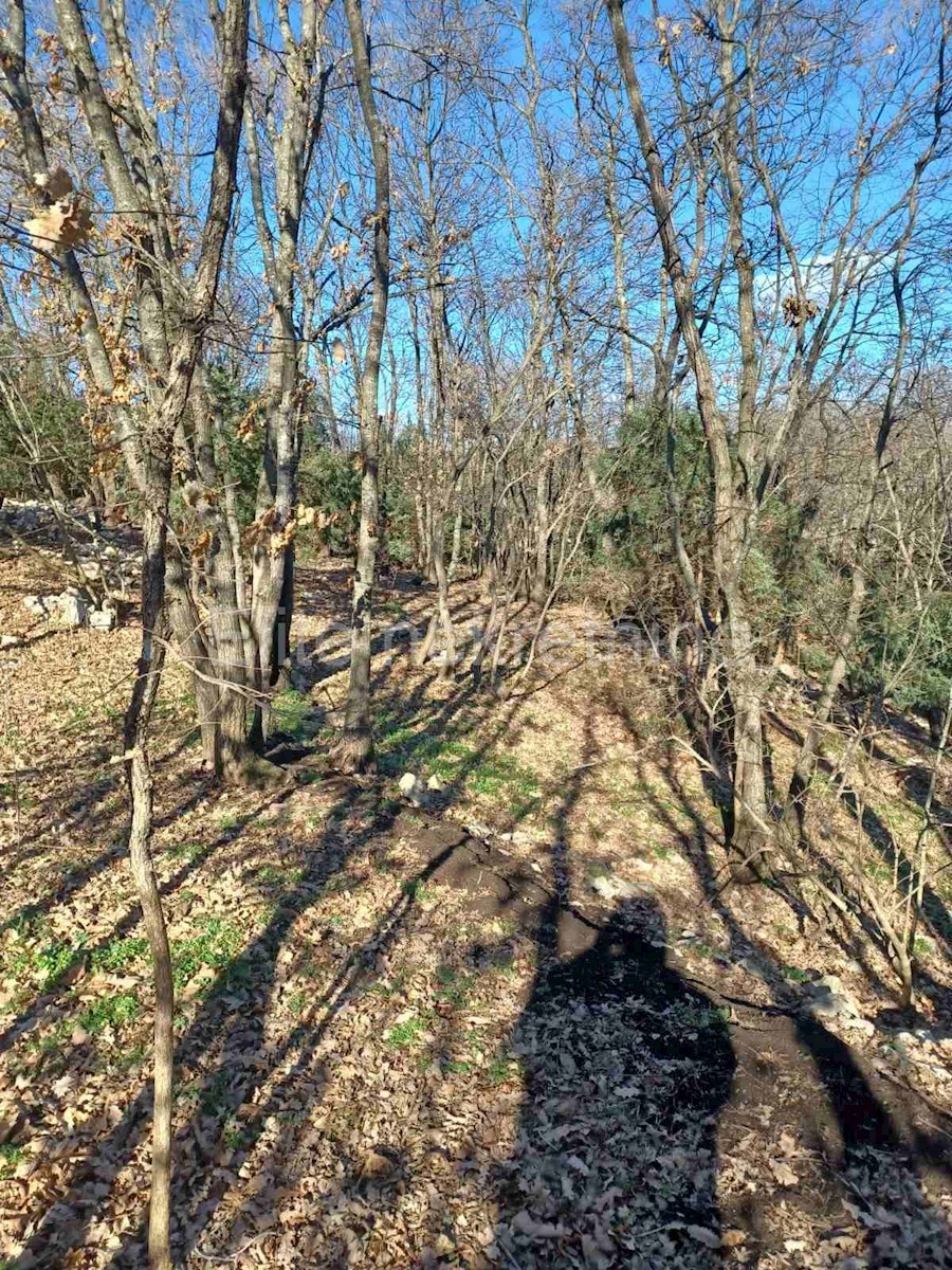 Šarići- terreno agricolo 17000m2!