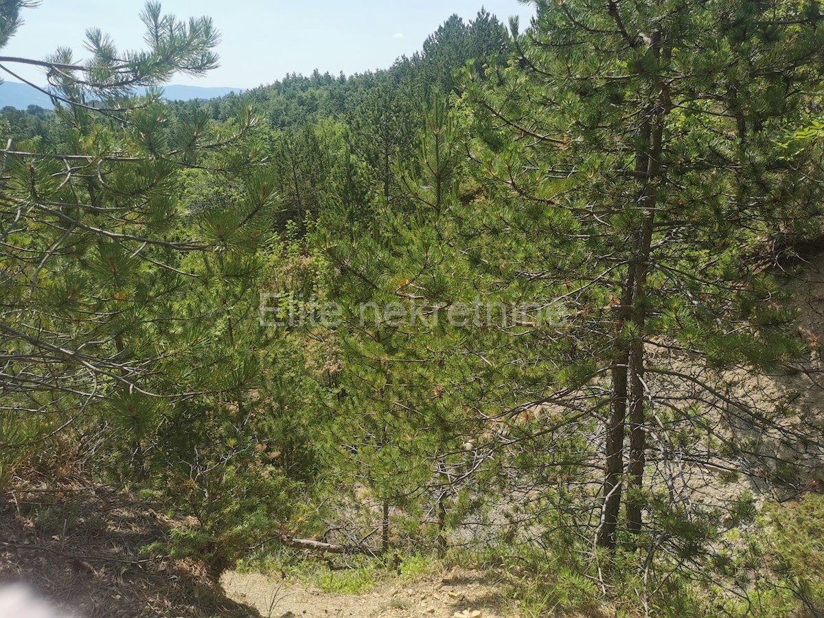 Lupoglav - terreno agricolo/forestale 36.954 m2