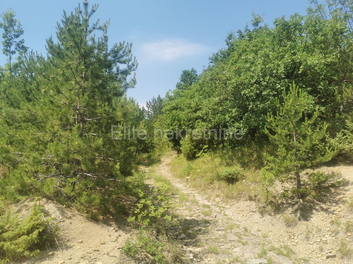 Lupoglav - terreno agricolo/forestale 36.954 m2