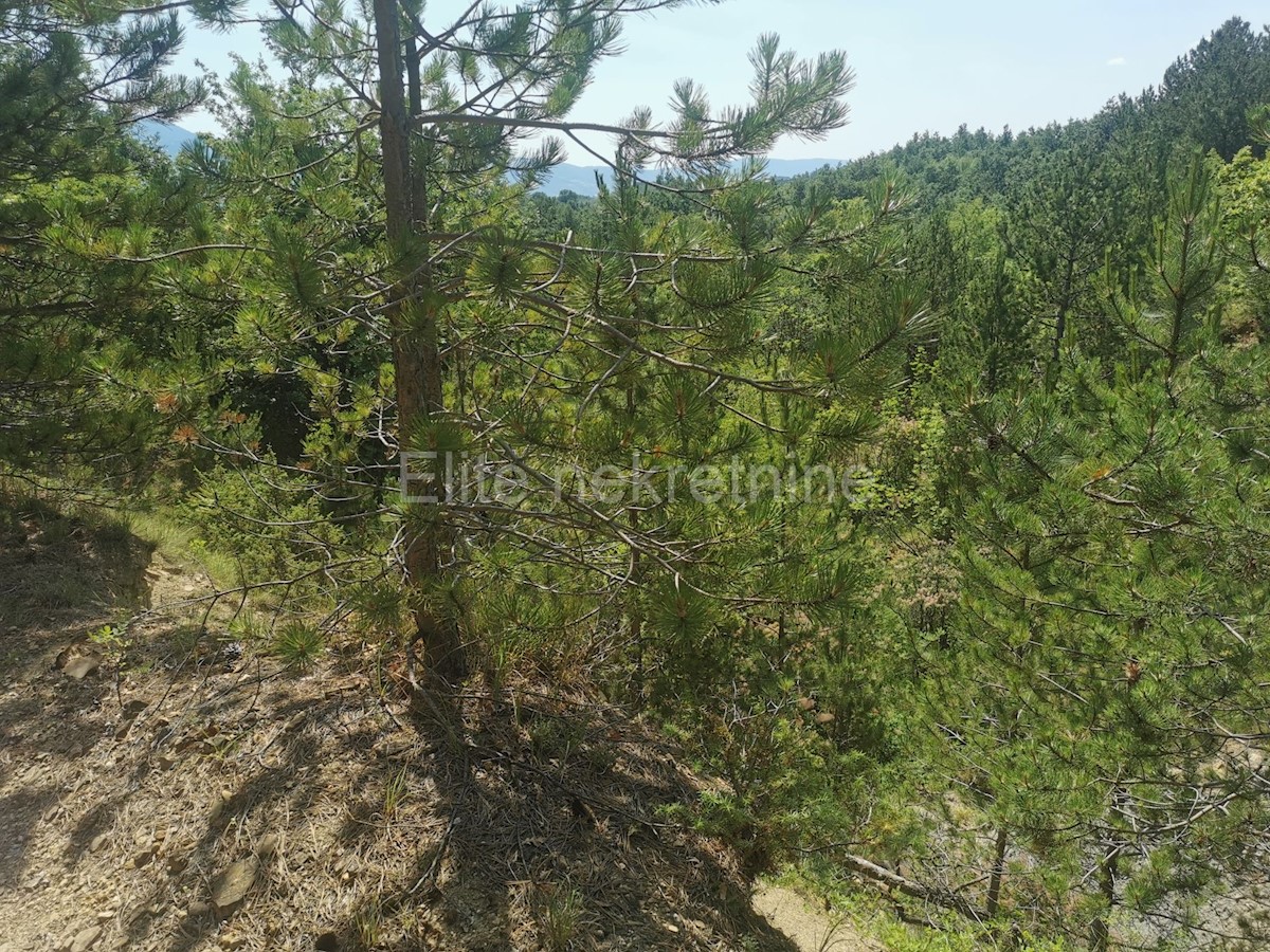 Lupoglav - terreno agricolo/forestale 36.954 m2