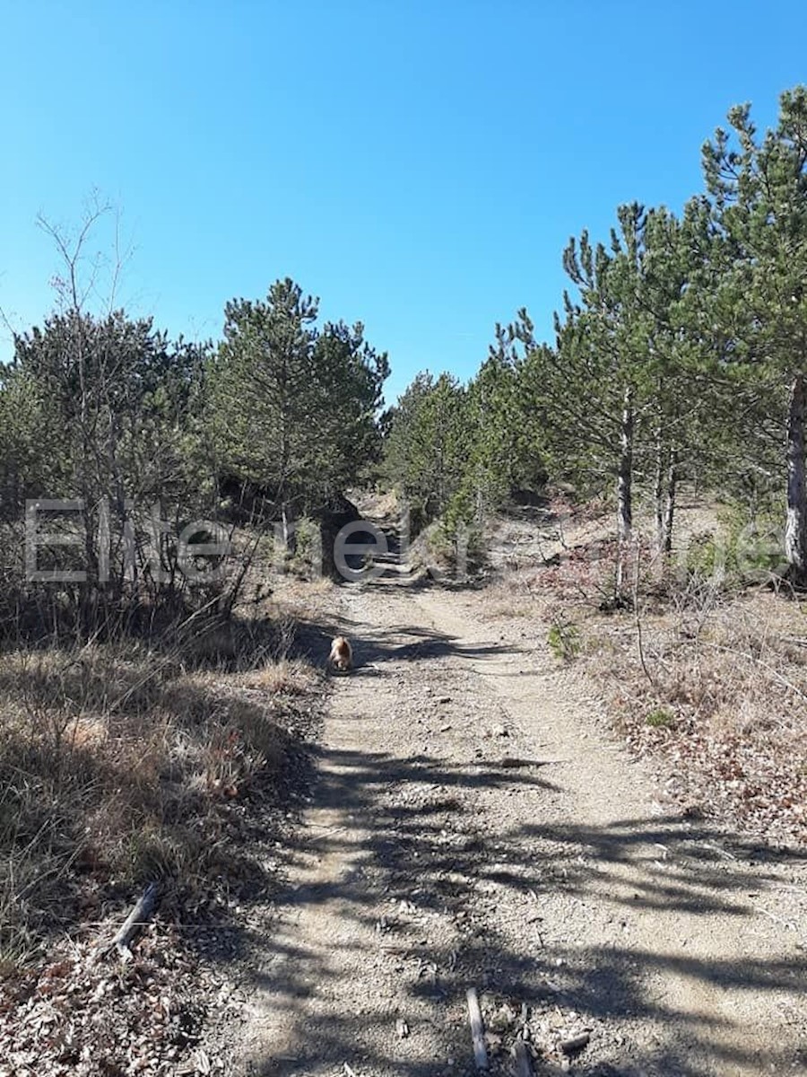 Lupoglav - terreno agricolo/forestale 36.954 m2