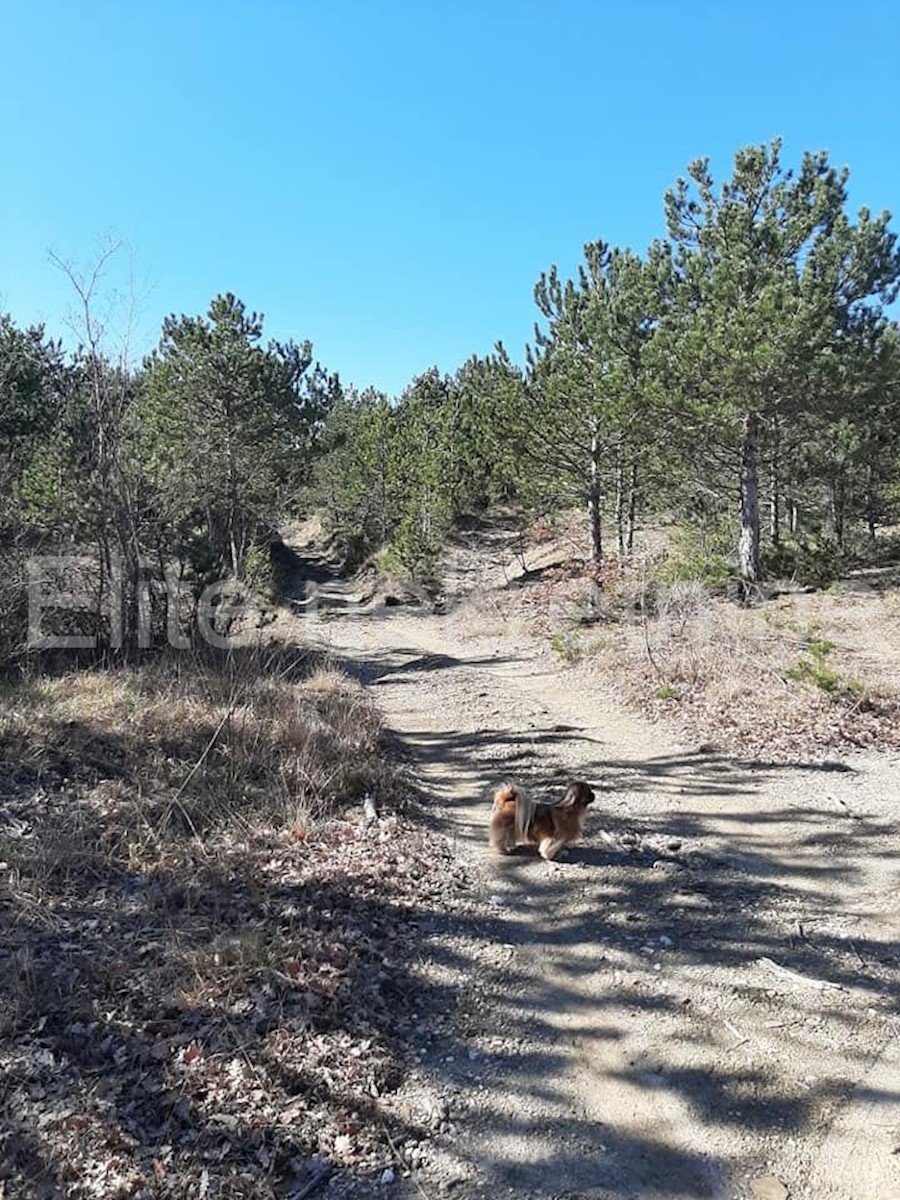 Lupoglav - terreno agricolo/forestale 36.954 m2